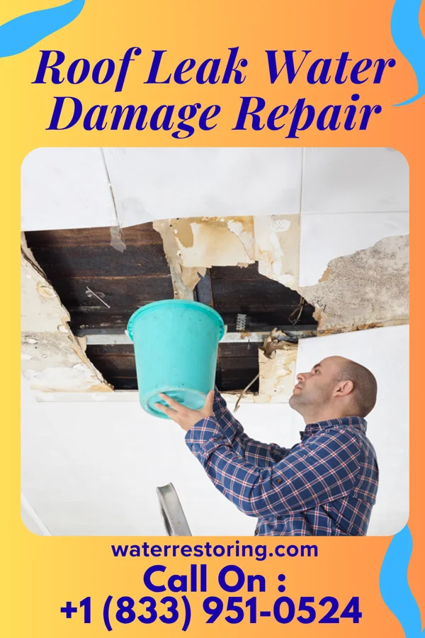 Roof Leak Water Damage Repair in Raymond, MN
